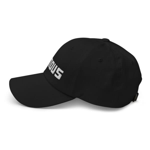 Famous Dad hat with Logo - Image 4